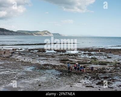 Vista di East Cliff Beach dal muro di mare Church Cliff Walk, Lyme Regis, Dorset, Regno Unito, 2019. Foto Stock