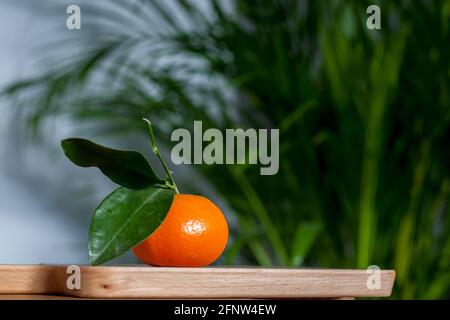 Clementina dolce con foglie di fronte alla palma di areca Foto Stock