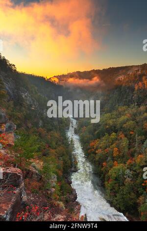 Tallulah Falls, Georgia, Stati Uniti d'America si affaccia Tallulah Gorge nella stagione autunnale. Foto Stock