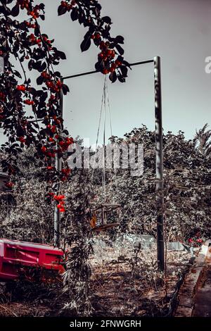 Un'oscillazione sopravfatta e abbandonata regolata nel mezzo della foresta. Un sacco di erba. La natura assume il controllo. Sensazioni strane. Foto Stock