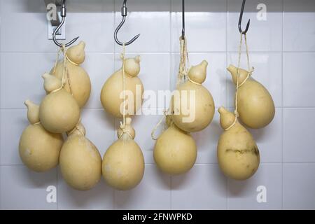 Il tipico formaggio italiano il Caciocavallo è un tipo di formaggio a pasta tirata a base di latte di pecora o di vacca. Il formaggio sta maturando Foto Stock