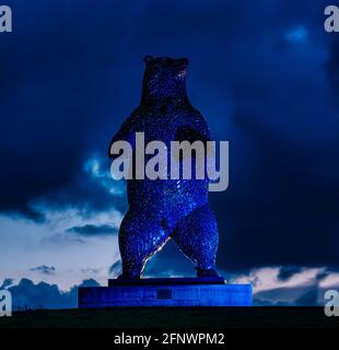 Gigantesca scultura in orso d'acciaio, Dunbear dello scultore Andy Scott, illuminata di notte con un cielo scuro, Dunbar, East Lothian, Scozia, Regno Unito Foto Stock