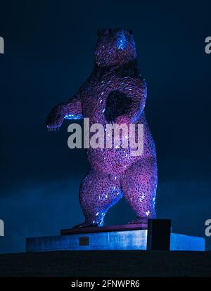 Gigantesca scultura in orso d'acciaio, Dunbear dello scultore Andy Scott, illuminata di notte con un cielo scuro, Dunbar, East Lothian, Scozia, Regno Unito Foto Stock