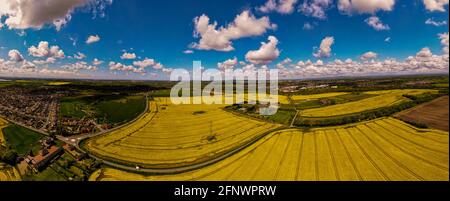 Campi di colza di Burtonwood Foto Stock