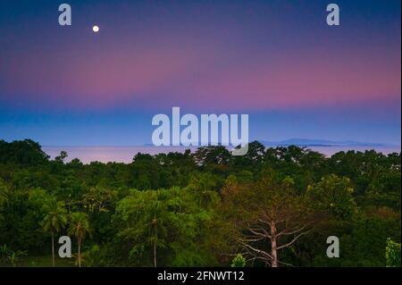 Paesaggio di Panama con foresta pluviale, luna e cielo colorato all'alba nella riserva naturale di Punta Patino, costa del Pacifico, provincia di Darien, Repubblica di Panama. Foto Stock