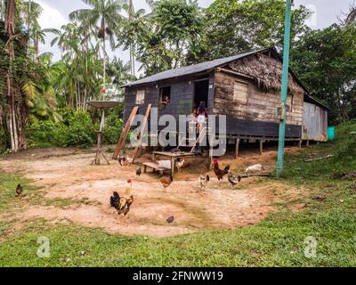 Paumari, Perù - 29 novembre 2018: Casa di legno in un piccolo villaggio nella giungla amazzonica, Sud America. Affluente del bacino del fiume Yavarii/Javarii dell'Amazzonia Foto Stock