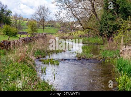 Tranquilla striscia del fiume Bradford ad Alport nel Derbyshire Peak District sotto il villaggio di Youlgrave Foto Stock