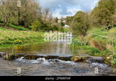 Il fiume Bradford a Bradford Dale nel Derbyshire Peak District sotto il villaggio di Youlgrave Foto Stock
