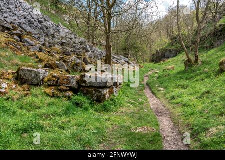 Raggiunge il livello superiore di Lathkill Dale nel Derbyshire Peak District UK con cumuli di olio di ex cava di Ricklow Foto Stock