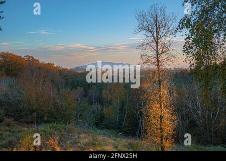 Colori autunnali. Vista a Tara Hill in co.Wexford, dalla foresta autunnale. Irlanda. Foto Stock