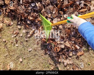 Raccolta di foglie secche. Ripristino ordine in strada. Le foglie cadute sono raccolte in un mucchio. Rastrello da lavoro per giardiniere. Foto Stock