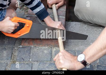 ragazzo sta segando un bastone di legno che viene tenuto dal padre Foto Stock