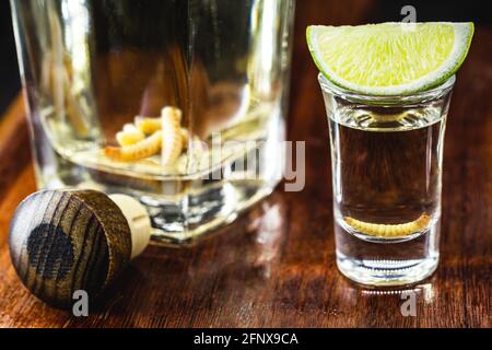 Vetro e bottiglia con mezcal (o mezcal) è comunemente noto come tequila con larve o verme, una bevanda messicana esotica, servita pura e al limone Foto Stock
