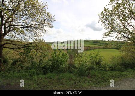 Passeggia nella natura mozzafiato dell'area del Devon settentrionale Foto Stock