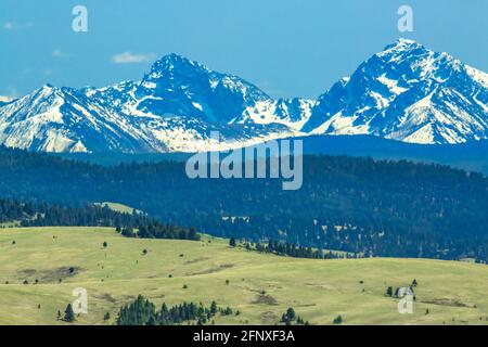 le cime dell'anaconda si trovano ai piedi delle colline vicino a philipsburg, montana Foto Stock