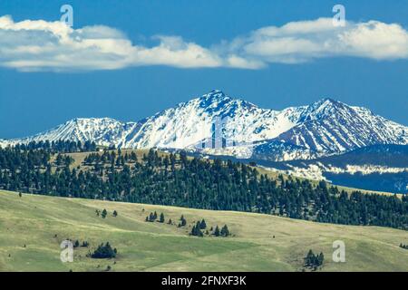 le cime dell'anaconda si trovano ai piedi delle colline vicino a philipsburg, montana Foto Stock