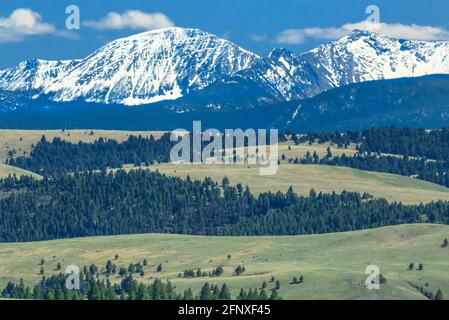 le cime dell'anaconda si trovano ai piedi delle colline vicino a philipsburg, montana Foto Stock