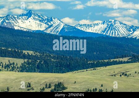 le cime dell'anaconda si trovano ai piedi delle colline vicino a philipsburg, montana Foto Stock