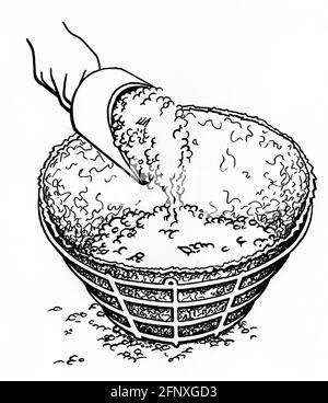 Un disegno di una mano che riempie un rivestimento di muschio di sfinimento in un cestino appeso con impasto di vasellatura Foto Stock