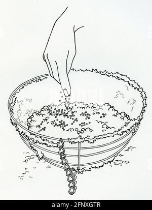 Un disegno di un fertilizzante spruzzante della mano in una sospensione cestello con rivestimento in muschio di sphagnum e impasto per l'incapsulamento Foto Stock