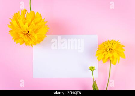 Biglietto d'auguri vuoto e fiore giallo su sfondo rosa. Concetto estivo. Minimalismo alla moda, spazio di copia Foto Stock