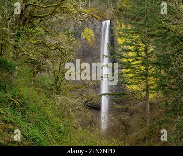 Cascate Latourell nel Guy Talbot state Park, Columbia River Gorge National Scenic Area, Oregon. Foto Stock