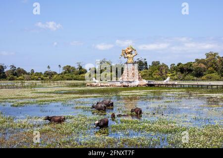 Bufali d'acqua che bagnano al monumento storico di Pudukudurippu a Puthumattalan, provincia settentrionale, Sri Lanka Foto Stock