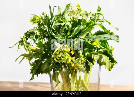Mazzo di fiori verdi di rapa gialli Foto Stock