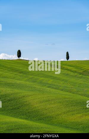 Colori primaverili e paesaggio in Val d'Orcia, Toscana, Italia Foto Stock