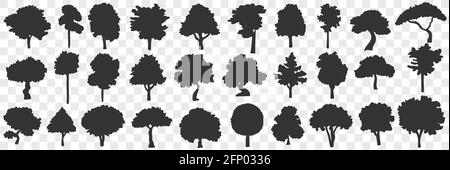 Silhouette di alberi doodle set. Collezione di sagome nere disegnate a mano di vari alberi in fiore natura in file isolate su sfondo trasparente Illustrazione Vettoriale