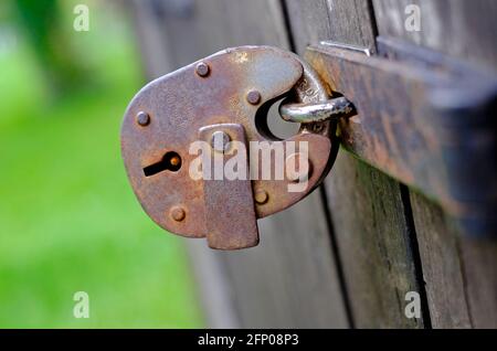 vecchio lucchetto arrugginito intemperie sulla porta recintata, norfolk, inghilterra Foto Stock