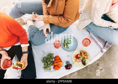 Allegra giovane ragazza che beve vino e mangia bruschette mentre fai un picnic il giorno del fine settimana estivo nel parco. Vista dall'alto Foto Stock