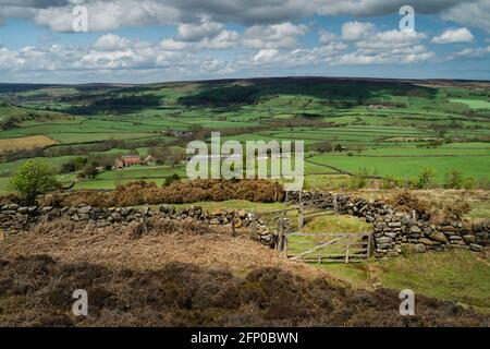 Cancelli e sentiero pubblico fiancheggiato da mura di pietra attraverso i North York Moors e campi nel dale a Fryup in primavera vicino a Glaisdale, Yorkshire, Regno Unito. Foto Stock