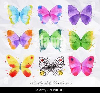Set di farfalle acquerello di colori e forme diverse disegnate a mano su uno sfondo di carta sminuzzata Illustrazione Vettoriale