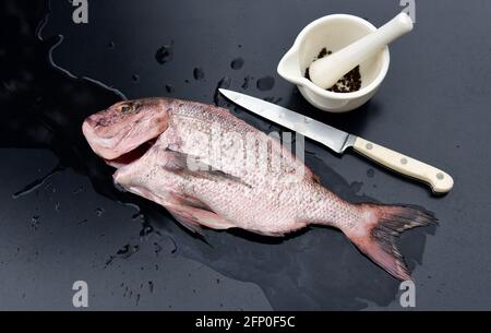 Pesce fresco di pesce rosso di snapper pulito e pronto per essere condito e cotto Foto Stock