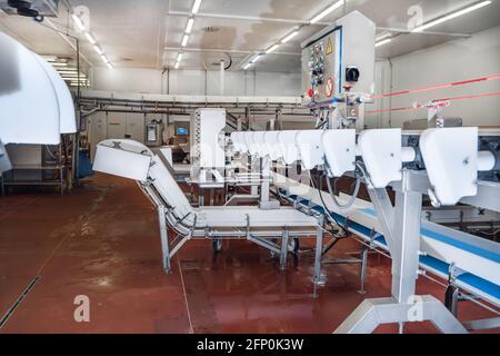 Macchina per la lavorazione della carne in uno stabilimento. Concetto industriale e tecnologico. Linea automatizzata per il pollame. Foto Stock