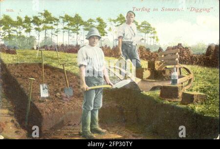 Cartolina n. 3825.1 - Turf in Somerset 'Digging' circa 1905 Foto Stock