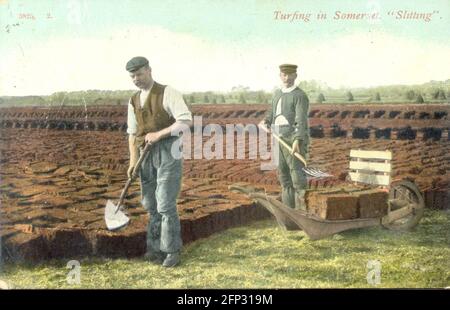 Cartolina n. 3825.2 - Turf in Somerset 'Slitting' circa 1905 Foto Stock