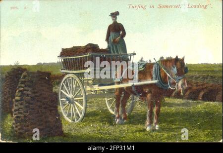 Cartolina n. 3825. 4 - Turf in Somerset 'Loading' circa 1905 Foto Stock