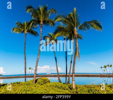 Barca a vela e palme che si riflettono nelle lagune di Waikoloa Beach, Hawaii, Hawaii, USA Foto Stock