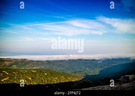 La vista sulla natura nel Parco Nazionale di Acadia, Maine Foto Stock