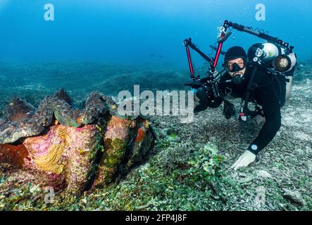 Fotografo scattando foto di gigantesco guscio di morsetto in Raja Ampat Foto Stock