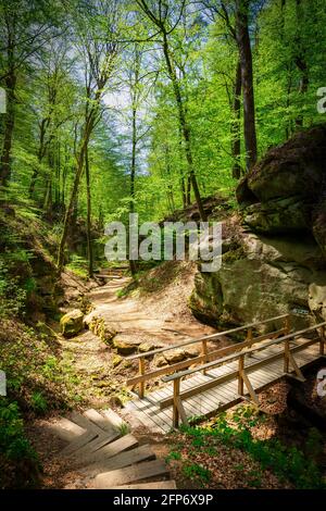 Bellissimo sentiero escursionistico mullerthal a Berdorf, Lussemburgo, Europa Foto Stock