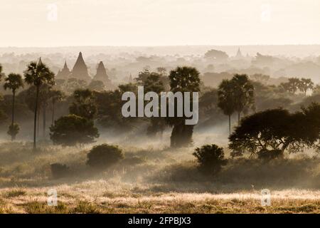 Skyline dei templi di Bagan, Myanmar Foto Stock