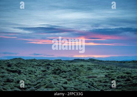 Foto del paesaggio islandese al tramonto con campo di roccia vulcanica coperto in muschio verde con un bel cielo viola e rosa Foto Stock