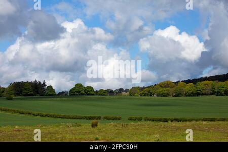 Green Belt, a sud di Edimburgo, Scozia Foto Stock