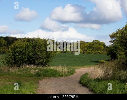 Green Belt, a sud di Edimburgo, Scozia Foto Stock