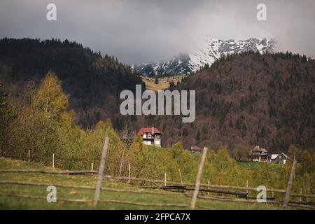 Piatra Craiului montagna e foresta in Romania. Foto Stock