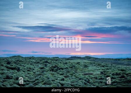 Foto del paesaggio islandese al tramonto con campo di roccia vulcanica coperto in muschio verde con un bel cielo viola e rosa Foto Stock
