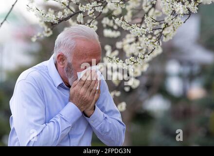 Uomo anziano con sintomi allergici starnuti nel tessuto. Anziani affetti da febbre da fieno tosse all'esterno. Foto Stock